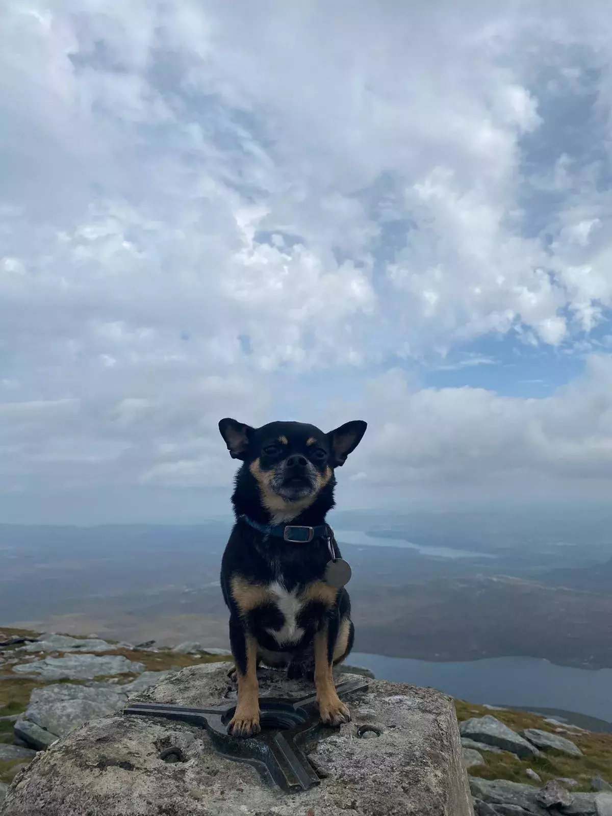 Pet Memorials