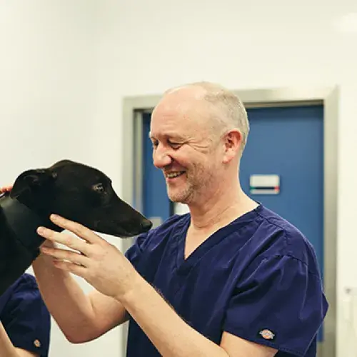 Shaun Opperman, Head Vet