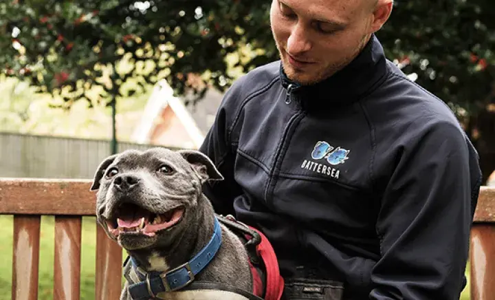 Animal welfare campaigning