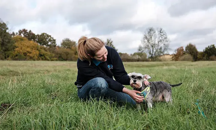Caring for your pet when you're gone