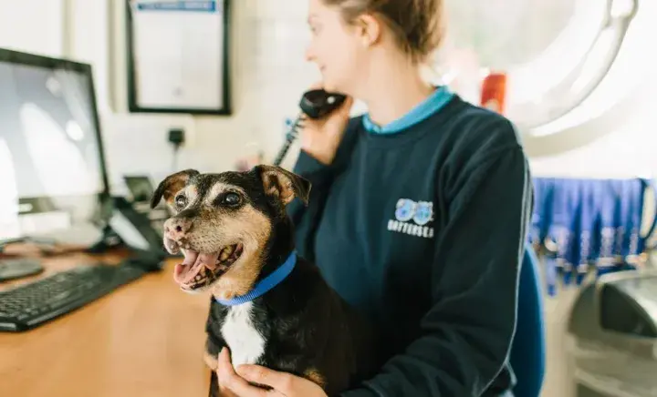 Stay in touch with team Battersea