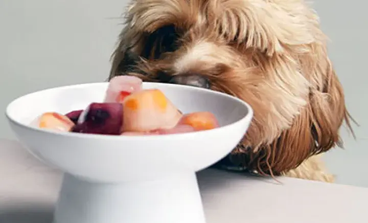 3 simple dog treats