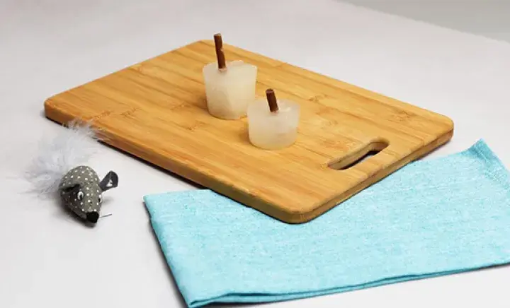 Homemade cat-friendly ice lollies