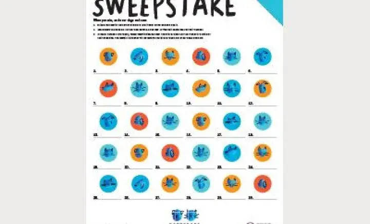 Sweepstake poster