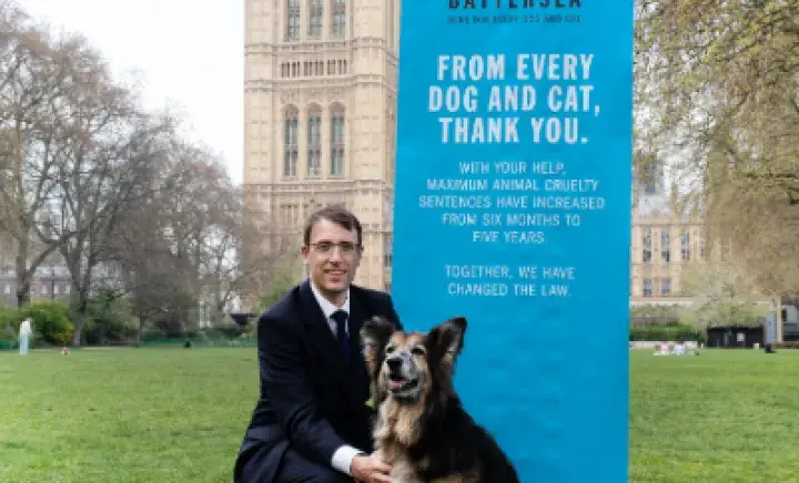 Battersea Cruelty Sentencing Campaign