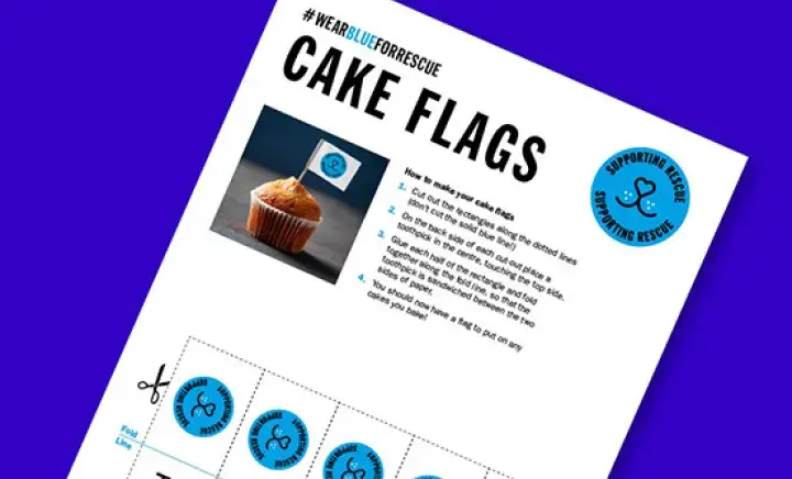 Wear Blue for Rescue Cupcake Flags