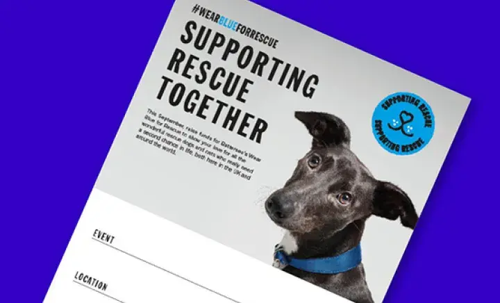 Wear Blue for Rescue Event Poster