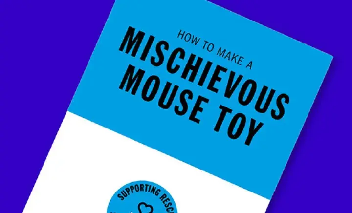 Wear Blue for Rescue Mouse Toy
