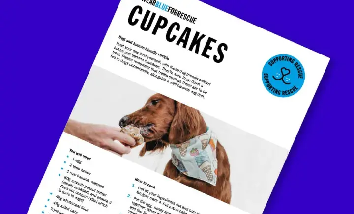 Wear Blue for Rescue Cupcakes