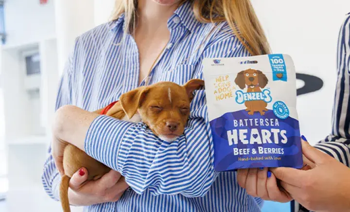 A sleeping puppy sleeping in the arms of a person next to a bag of treats