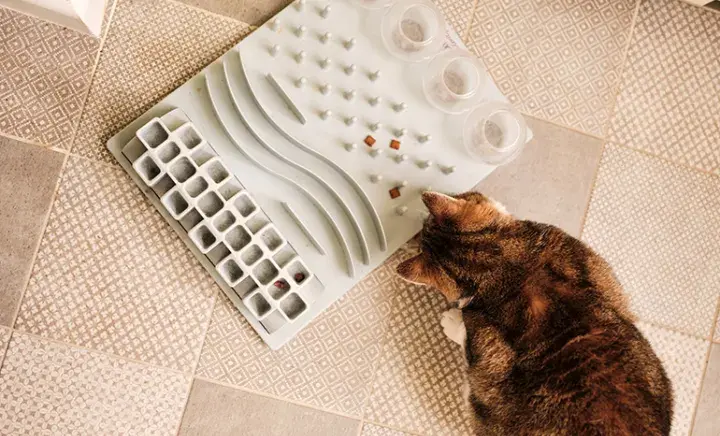 Ginger cat playing with snuffle mat