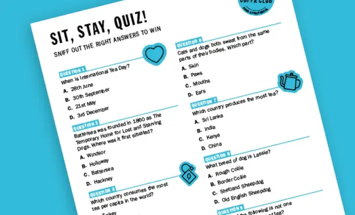 Sit, stay, quiz game