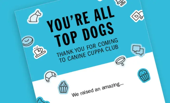 You're all top dogs certificate