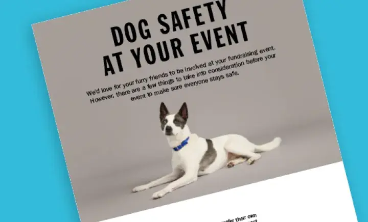 Dog safety at your event document