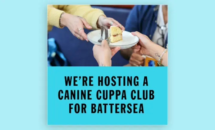 We're hosting a cuppa club event for Battersea, holding cake