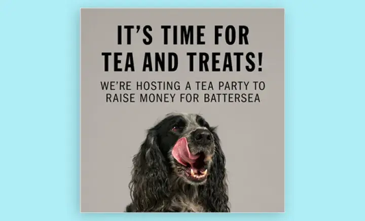 It's time for tea and treats! We're hosting a cuppa club event for Battersea, dog licking it's lips