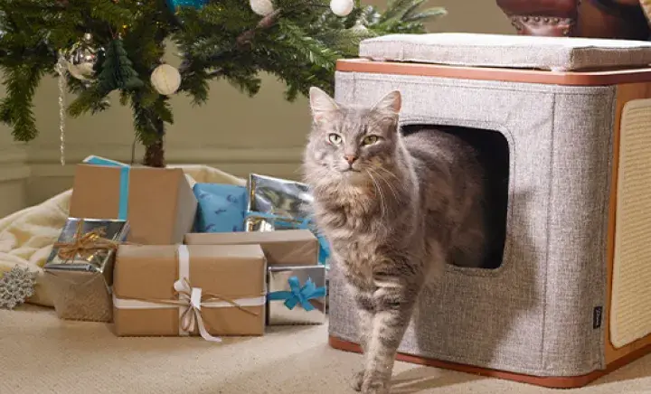 Cat standing with presents under a Christmas tree