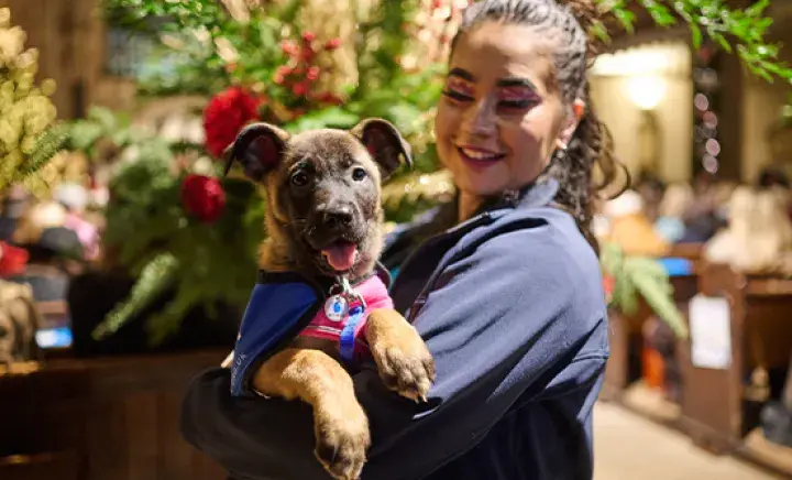 A woman joyfully holds a puppy at a festive Christmas party, surrounded by holiday decorations and cheerful guests.