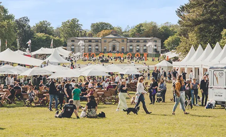 A large outdoor festival scene on a sunny day, with crowds of people sitting at wooden tables and walking across a grassy field. White tents and umbrellas line both sides, with food and vendor stalls visible. In the background, a stately historic building sits on a hill, and large orange letters spell ‘GOODWOOF.’ Many attendees are with dogs, creating a lively, family- and pet-friendly atmosphere.