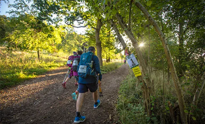Two people trekking along a path