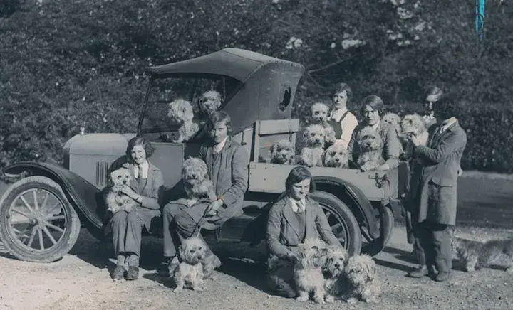 Kennel maids with terriers