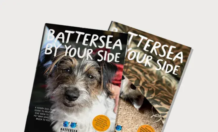 Visual of Battersea's dog and cat pet care guides